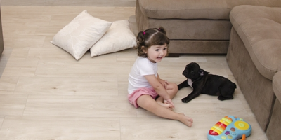  A melhor alternativa de aquecimento para os seus Pets